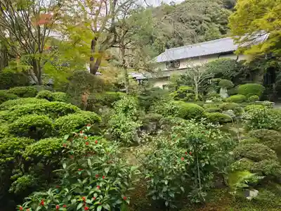 安楽寺(京都府)