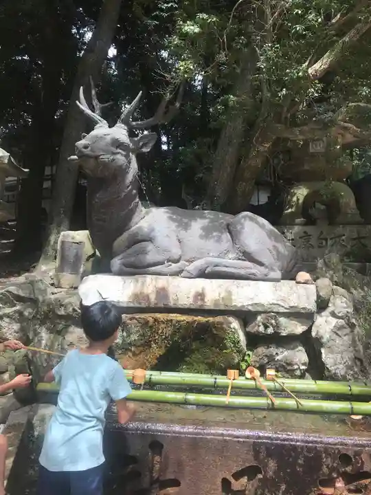 春日大社の手水舎