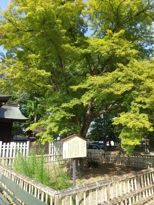 象山神社(長野県)
