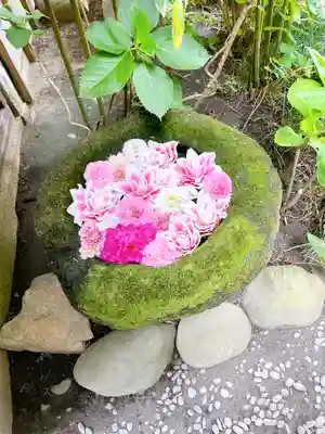 菅生神社の手水舎