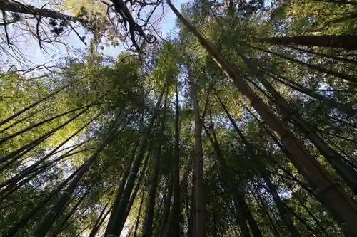 日枝神社の自然