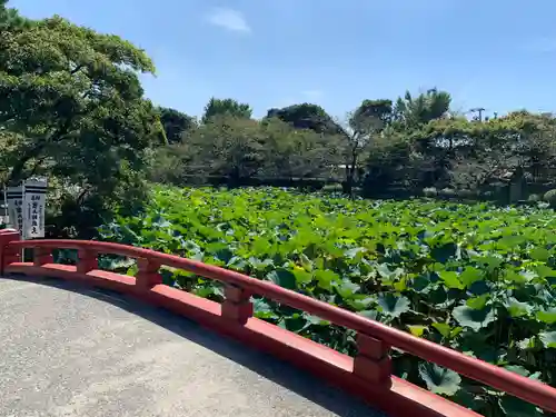 旗上弁財天社の自然