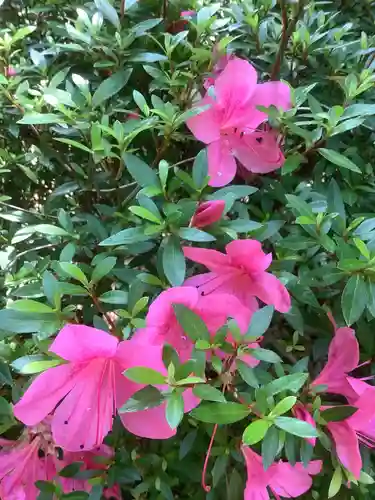 牟禮山観音禅寺の自然