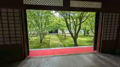 妙覺寺（妙覚寺）(京都府)