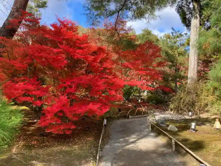 宝厳院(京都府)