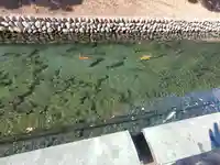 松葉寺(栃木県)