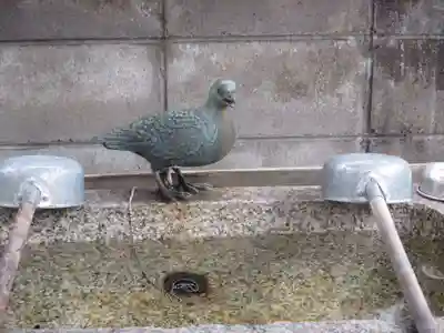 首途八幡宮の動物