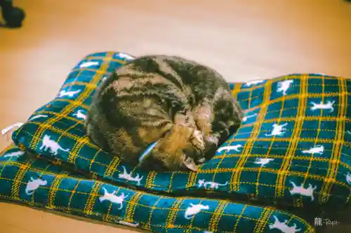 熊野那智神社(宮城県)