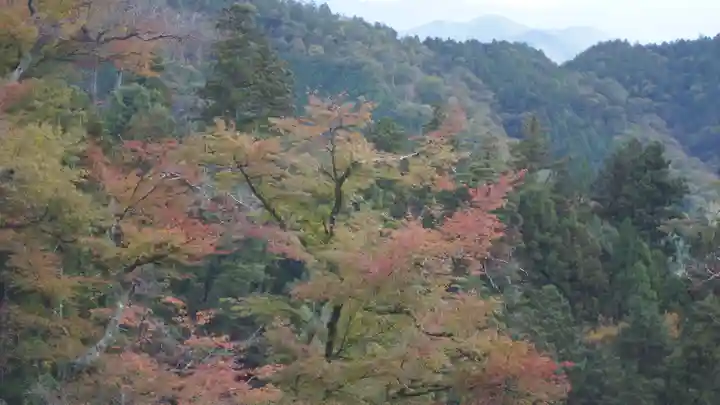鞍馬寺(京都府)