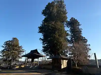 馬頭院(栃木県)