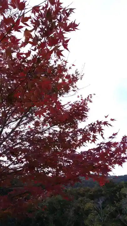 牛窓神社の自然