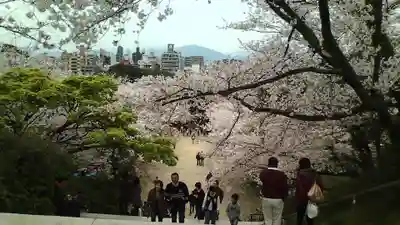 光雲神社(福岡県)