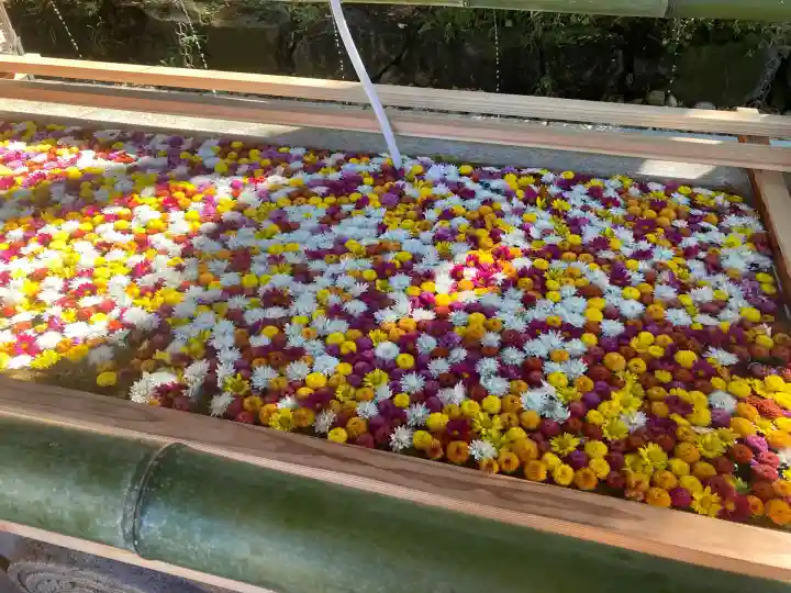 笠間稲荷神社(茨城県)