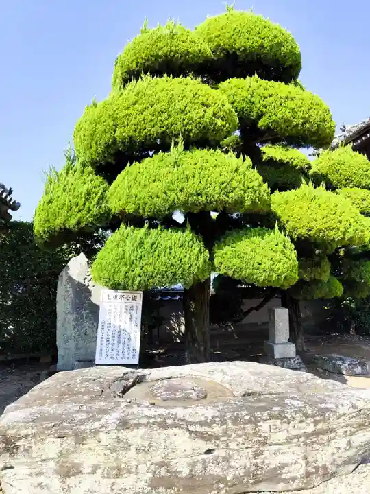 国分寺(徳島県)