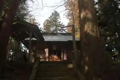 天満神社の本殿・本堂