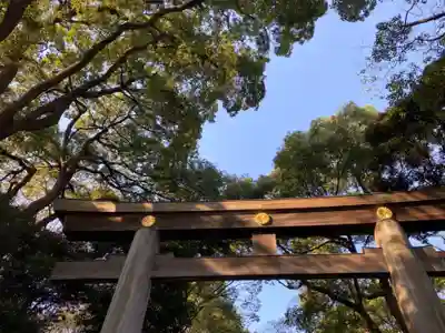 明治神宮の鳥居