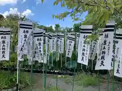 鶴岡八幡宮(神奈川県)