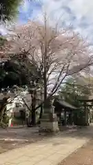 石神井氷川神社(東京都)