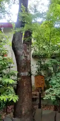 梅田神明宮(東京都)