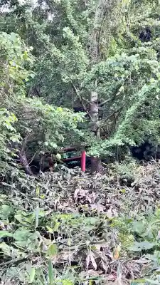 馬頭観音(北海道)