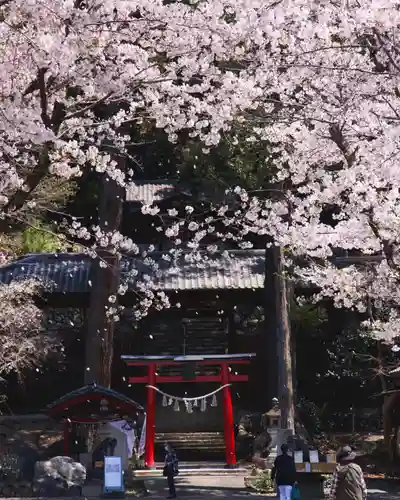 小幡八幡宮(群馬県)