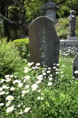 天正寺のその他建物