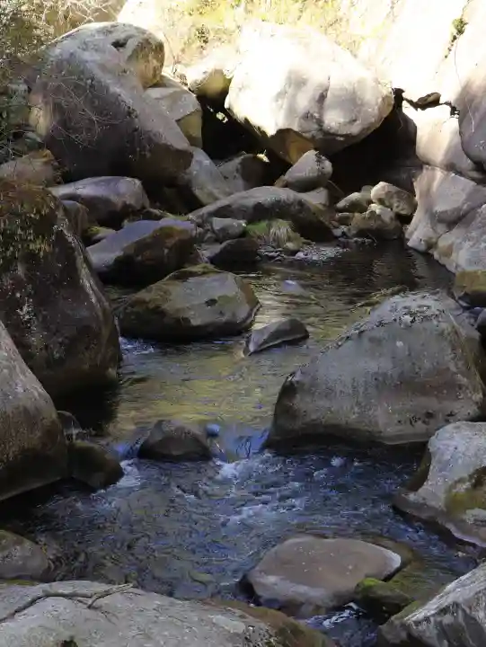 夫婦木神社姫の宮の{uncategorized: "未分類", other: "その他", undefined: "問題あり", building: "その他建物", grave: "お墓", sacred_gate: "鳥居", guardian: "狛犬", statue: "像", buddha: "仏像", history: "歴史", nature: "自然", garden: "庭園", animal: "動物", pagoda: "塔", temizu: "手水舎", mountain_gate: "山門・神門", sanctuary: "本殿・本堂", subordinate: "末社・摂社", art: "芸術", scenery: "景色", jizo: "地蔵", ema: "絵馬", goshuin: "御朱印", omikuji: "おみくじ", items: "授与品その他", amulet: "お守り", goshuincho: "御朱印帳", eats: "食事", festival: "お祭り", votive_dance: "神楽", shichigosan: "七五三参", wedding: "結婚式", experience: "体験その他", initially: "初詣", around: "周辺", anti_infection: "感染症対策"}