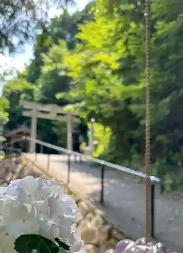 サムハラ神社 奥の宮(岡山県)