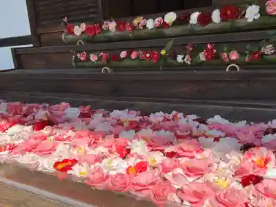 霊鑑寺門跡(京都府)