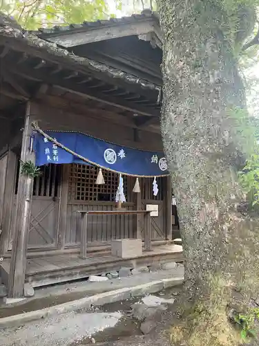青井阿蘇神社(熊本県)