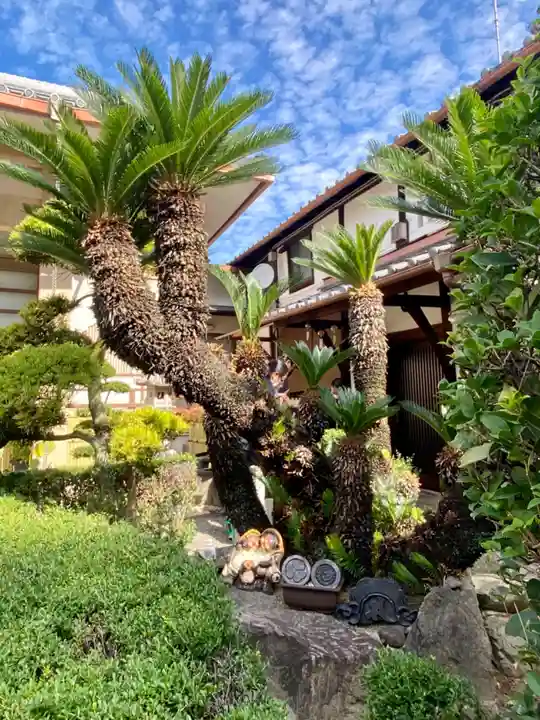 阿弥陀寺の自然