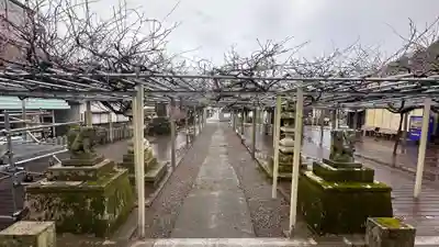 大歳神社(兵庫県)