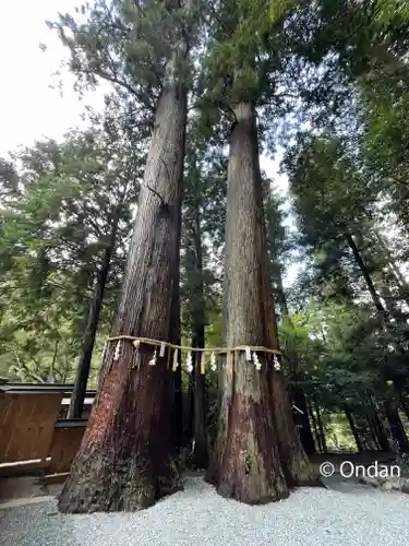 丹生川上神社（中社）(奈良県)