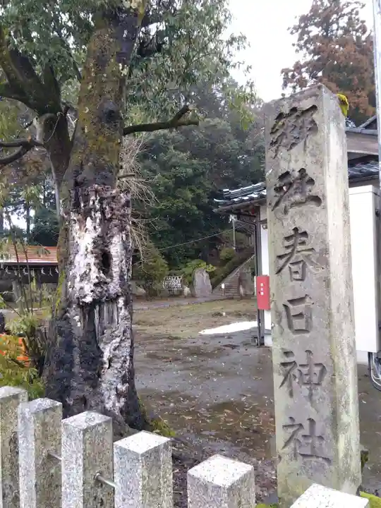春日神社(福井県)