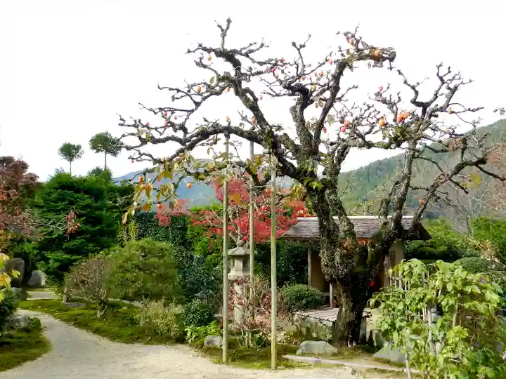 実光院(京都府)