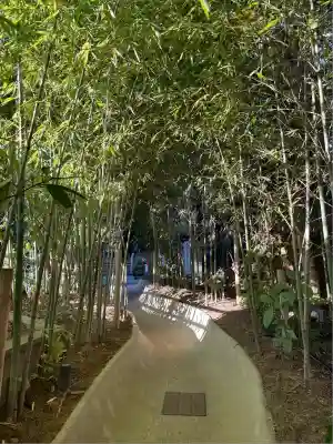 來宮神社(静岡県)