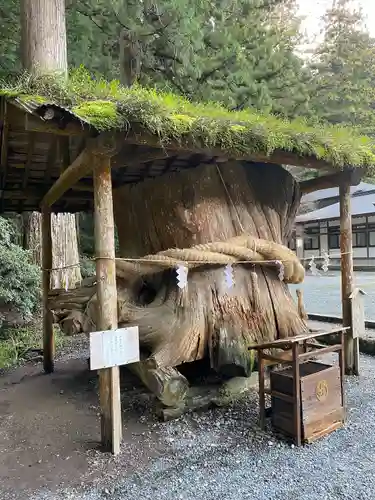 小國神社(静岡県)