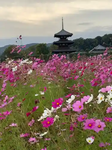 法起寺の景色