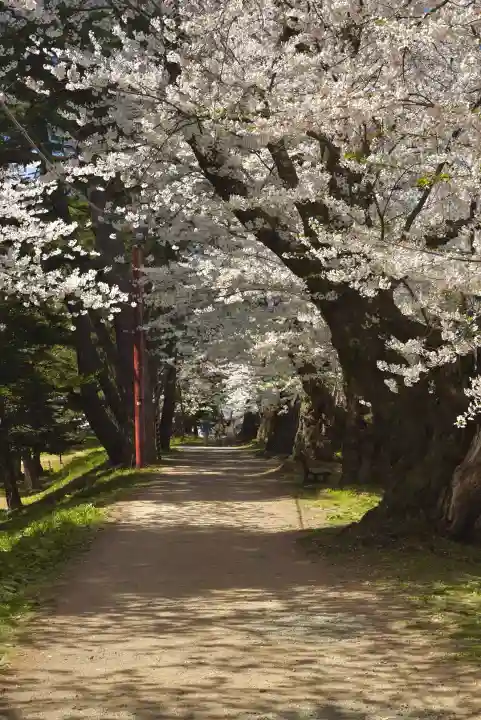 青森縣護國神社の自然