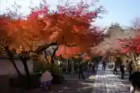 石山寺(滋賀県)