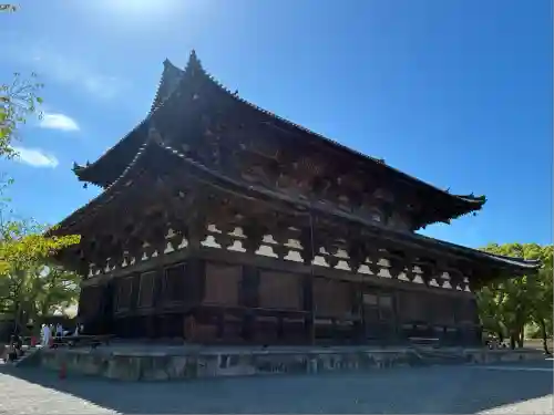 東寺（教王護国寺）(京都府)