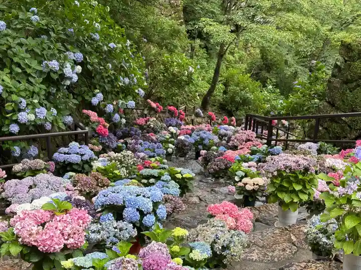 長谷寺(奈良県)