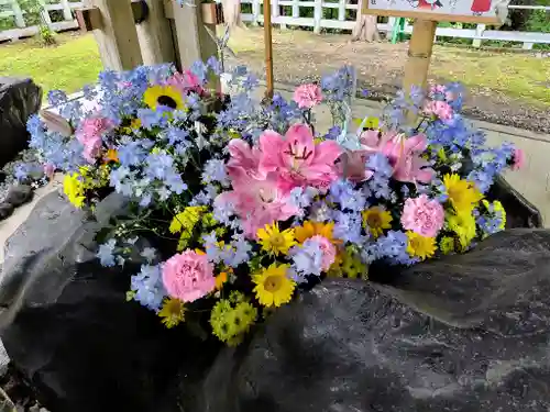 上川神社の手水