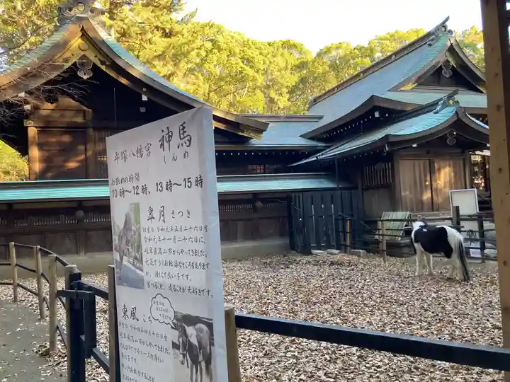 平塚八幡宮(神奈川県)
