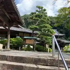 三室戸寺の建物その他