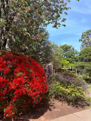 天王寺の{uncategorized: "未分類", other: "その他", undefined: "問題あり", building: "その他建物", grave: "お墓", sacred_gate: "鳥居", guardian: "狛犬", statue: "像", buddha: "仏像", history: "歴史", nature: "自然", garden: "庭園", animal: "動物", pagoda: "塔", temizu: "手水舎", mountain_gate: "山門・神門", sanctuary: "本殿・本堂", subordinate: "末社・摂社", art: "芸術", scenery: "景色", jizo: "地蔵", ema: "絵馬", goshuin: "御朱印", omikuji: "おみくじ", items: "授与品その他", amulet: "お守り", goshuincho: "御朱印帳", eats: "食事", festival: "お祭り", votive_dance: "神楽", shichigosan: "七五三参", wedding: "結婚式", experience: "体験その他", initially: "初詣", around: "周辺", anti_infection: "感染症対策"}