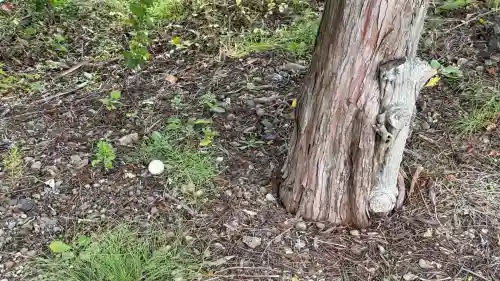 川村稲荷神社(北海道)