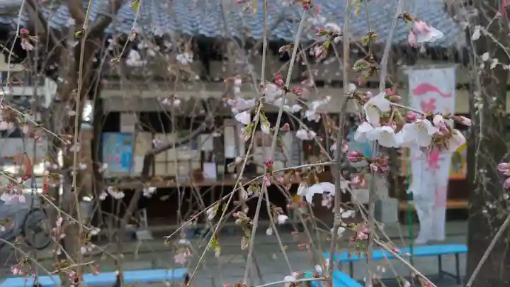 頂法寺(六角堂)の自然