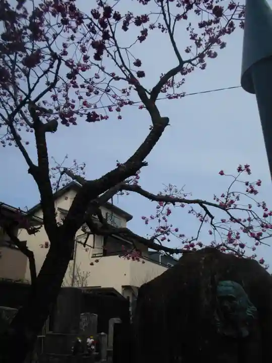 妙隆寺(神奈川県)