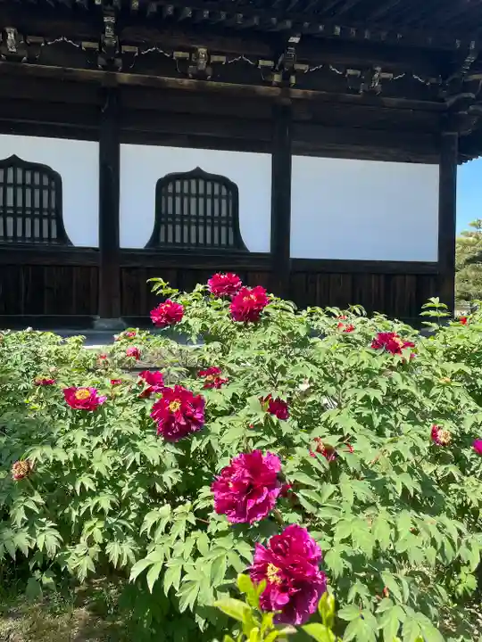 建仁寺(建仁禅寺)のその他建物